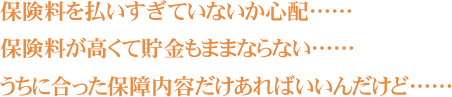 保険料を払いすぎていないか心配…… 保険料が高くて貯金もままならない…… うちに合った保障内容だけあればいいんだけど……